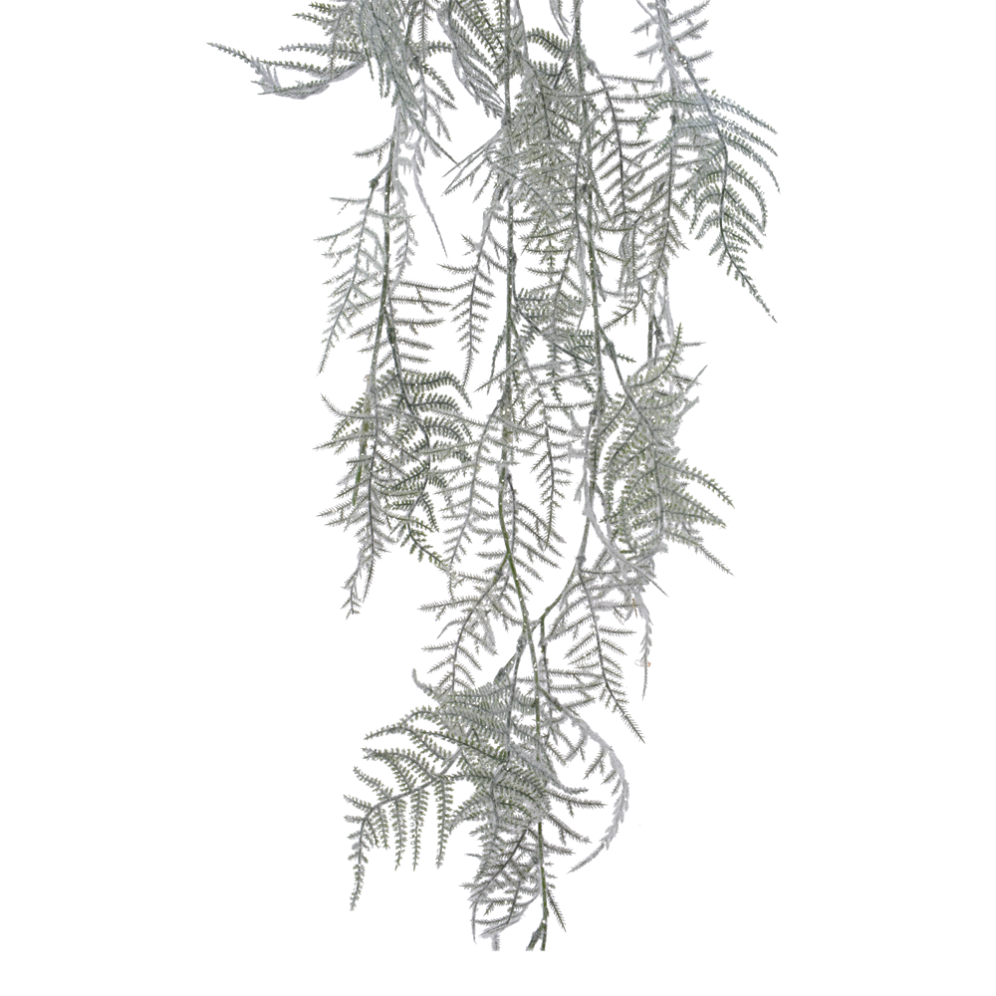 Everlands kersttak - Asparagus