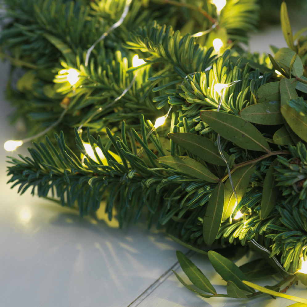 Lumineo micro LED  kerstverlichting - 120 lampjes - Warm wit