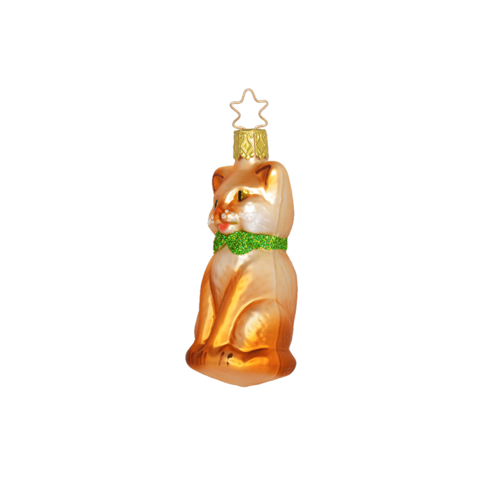 Inge glas - Glazen - oranje - kater - kerstornament