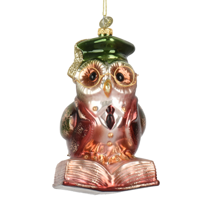 Decoris kerstornament - Uil op boek