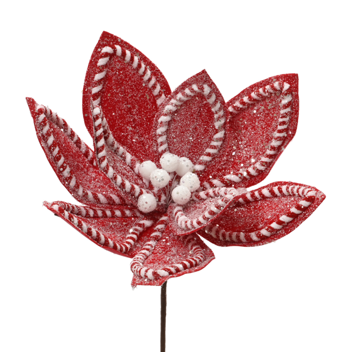 Everlands kersttak - Poinsettia met zuurstok