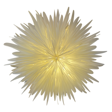 Only Natural kerstster - 40cm