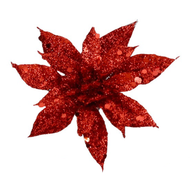 Goodwill kerstster - Op clip