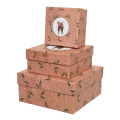 Papieren cadeauboxen - Met rendier - Karton - 3-delig