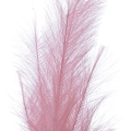 Pluim steker - Nylon veren - Fluweel roze