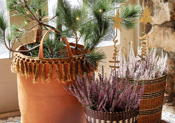 Begin de herfst met de kerst